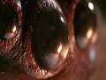 Arachnophobia (1990) - part 11 Arachnophobia (1990) - part 11