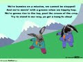 kungfu bunny