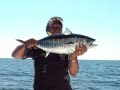Fly Fishing - Bluefin Tuna