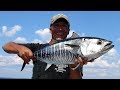 Fly Fishing - Bluefin Tuna