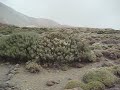 El Teide, Teneriffa