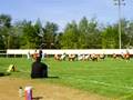 videos de David's 2nd Football Game