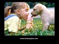 Cute and Funny Pet Photos of Dogs Cute and Funny Pet Photos of Dogs