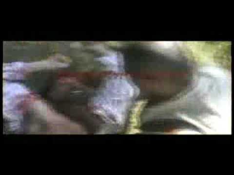 Nat Turner
