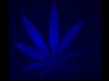 Dub Street - Shankin Dub ( dnb / dubwize )
