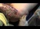 ?????????Japanese tattoo How to carve peace engraving
