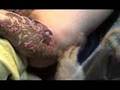 日本刺青【彫り方】Japanese tattoo How to carve peace engraving