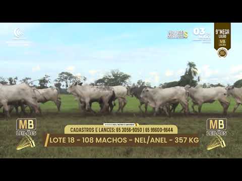 9� MEGA LEIL�O DA MB LEIL�ES