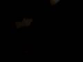 videos de p way. jajaja
