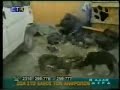 Greek Dog Abuse II
