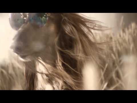 99utopia - Director: Tim Main & Joseph Dixon Production Company: White Lodge Country: UK.