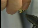 Tying the Steeler Glo Bug