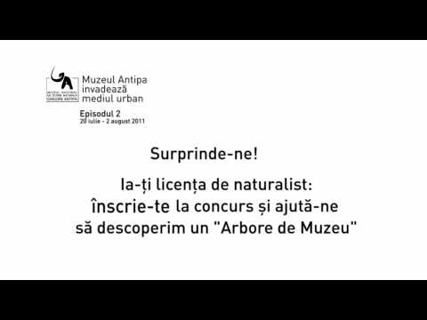 Muzeul Antipa