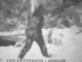 Origins of the 1967 Bluff Creek Patterson Footage