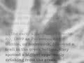 Origins of the 1967 Bluff Creek Patterson Footage