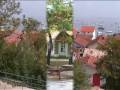 clip video Pusse Bestiaire d'Arcachon 1