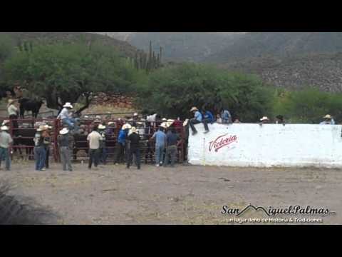 0 Videos de San Miguel Palmas