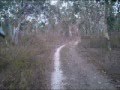 DT200 time lapse.wmv
