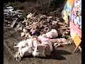 vertedero ilegal de basura en pozuelo de alarcón 2  29 11 07
