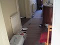 Mad-dash