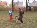 videos de hwps08110102.wmv