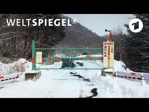 Japan: Fukushima – Die Rückkehrer | Weltspiegel
