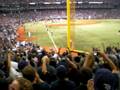videos de Fans get tackled after Final Game, Tampa Rays vs Boston ALCS Game 7 in St. Petersburg, FL