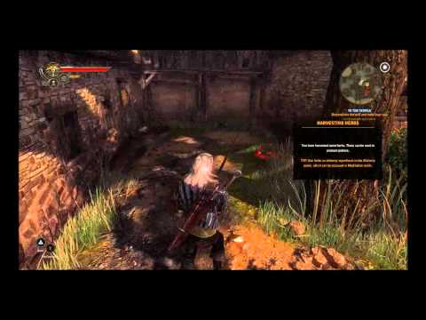The Witcher 2 : Assassins of Kings