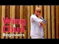 Wing Chun lesson 9 : basic hand exercise/ changing guard hands with bonsau