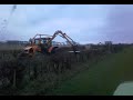 hedging