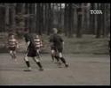 rugby