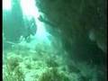 Diving with Death  - Brazil