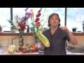 Gardening Lessons : How to Grow Celery