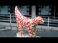 Superlambanana pictures