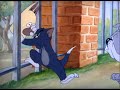 Tom Es Jerry 2x03 - Tom Elkutyul.avi