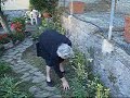 Granmother Nunziata Gardening (1) Granmother Nunziata Gardening (1)