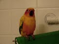 I\