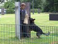 Pokalkampf Verein f�r Deutsche Sch�ferhunde