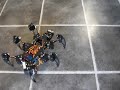 MSR-H01 Hexapod Black + PT Head - Test 01