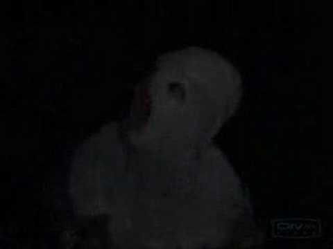 The X-Files Trailer (Season 2)