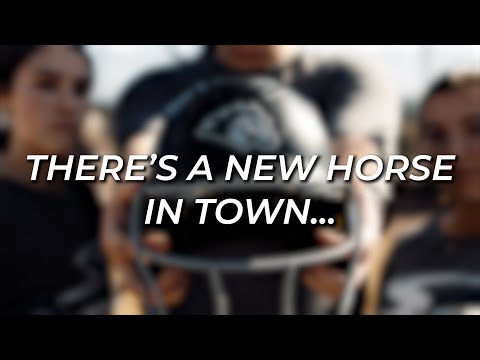 There’s a New Horse in Town