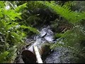 Barney Creek Headwaters Barney Creek Headwaters