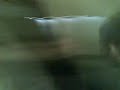 haunted house part 1 with alex george n sutton haunted house part 1 with alex george n sutton