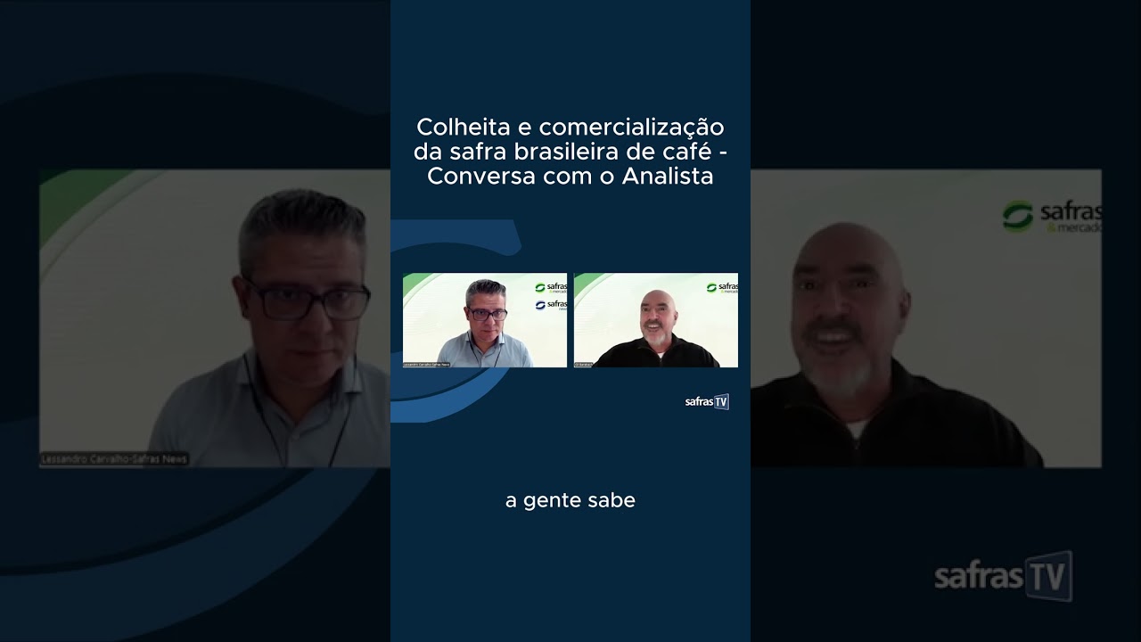 Avaliamos a colheita e comercialização da safra brasileira de café - Conversa com o Analista