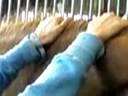Tilley Farm - Work Experience