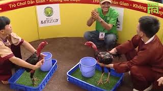 Hội chọi gà dân gian lần thứ I 2023 tại Bình Định