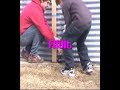 npr-diet-coke-and-mentos-experiment.html