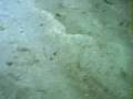 Patch Ruined The Cement!