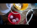 Video screenshot