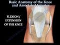 Knee injury ,Injuries - Everything You Need To Know - Dr. Nabil Ebraheim
